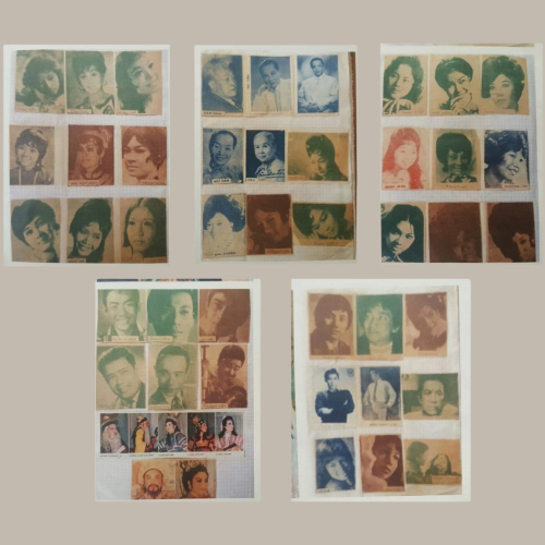 Chân Dung Nghệ Sĩ Cãi Lương