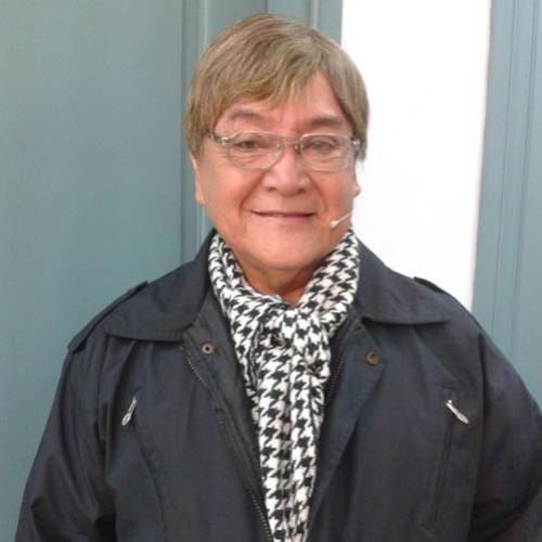 Nghệ Sĩ Nhân Dân -  Việt Anh