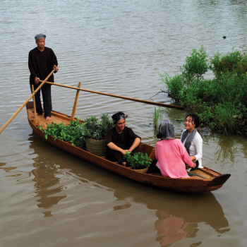 Hò Nam Bộ – Hơi Thở Đồng Quê Và Tinh Thần Yêu Đời Của Người Nam Bộ Xưa